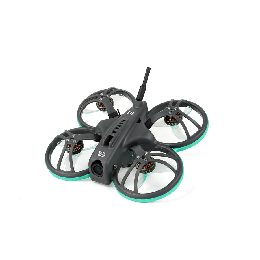 Whoopfly16