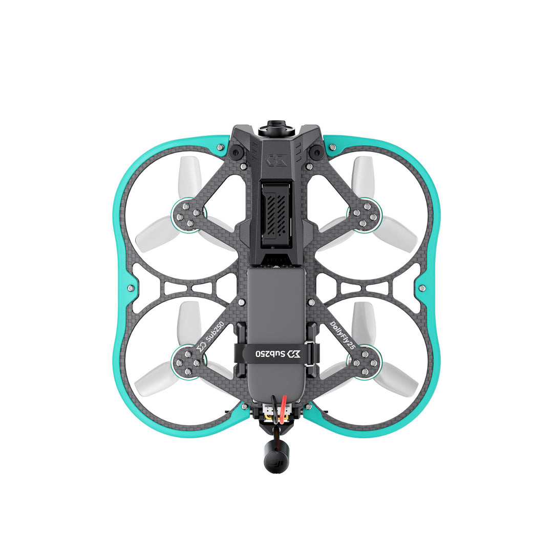 Sub250 DollyFly25 HD O3 2.5-inch 4S CineWhoop